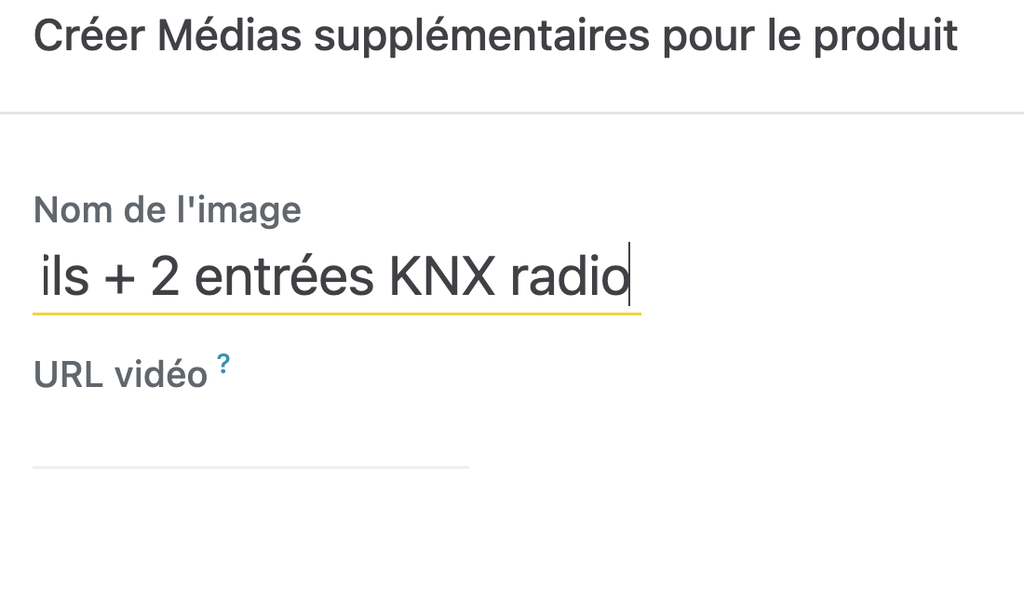 1 sortie éclairage variateur toutes charges 2 fils + 2 entrées KNX radio